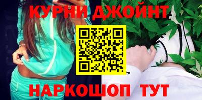 гидра Будённовск